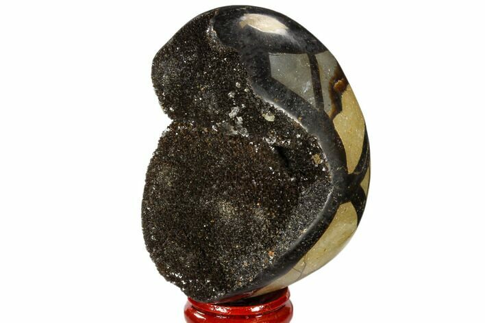 Septarian Dragon Egg Geode - Black Crystals #118731